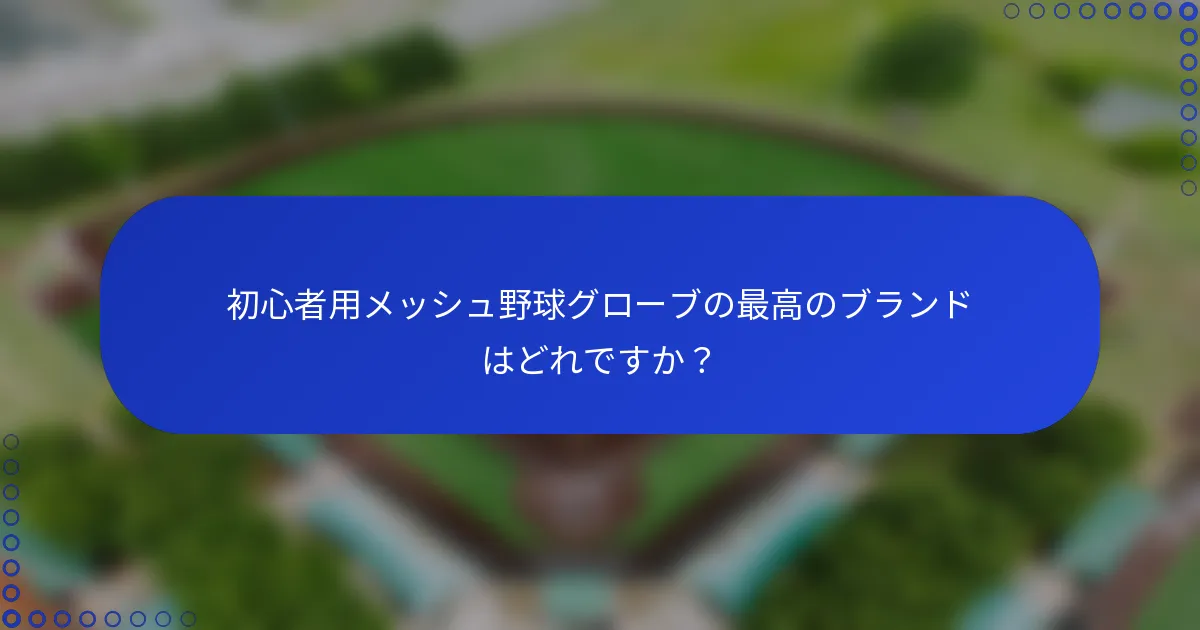 初心者用メッシュ野球グローブの最高のブランドはどれですか？