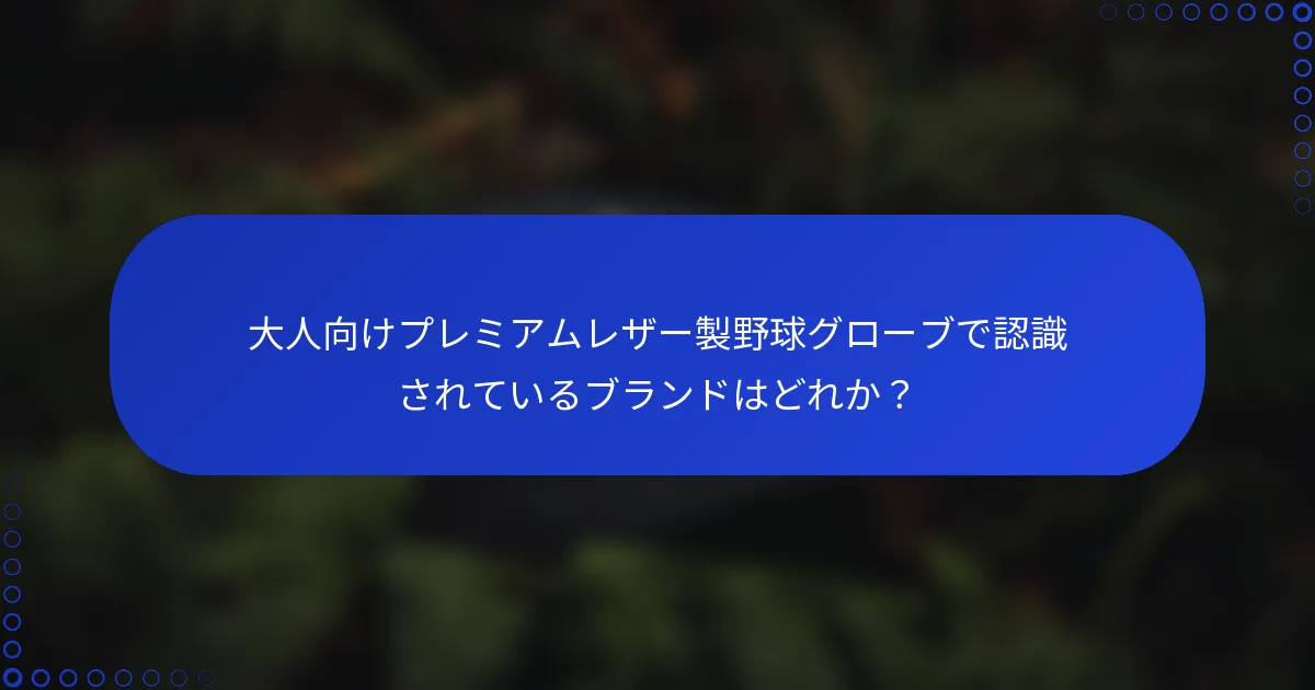 大人向けプレミアムレザー製野球グローブで認識されているブランドはどれか?