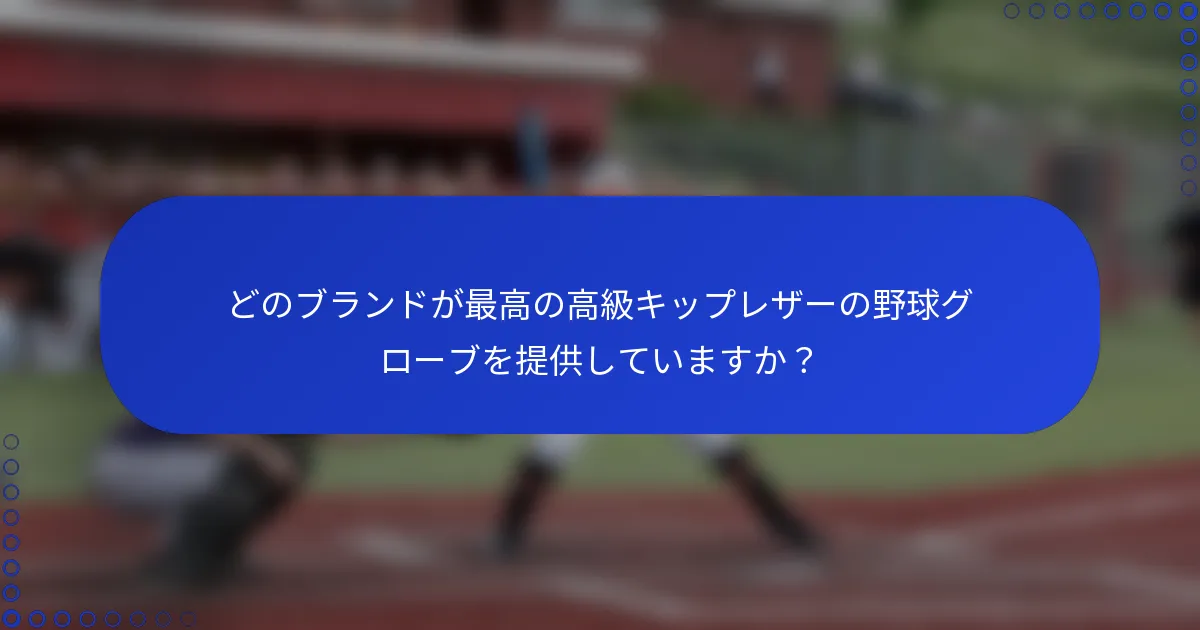 どのブランドが最高の高級キップレザーの野球グローブを提供していますか？