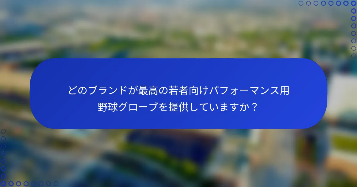 どのブランドが最高の若者向けパフォーマンス用野球グローブを提供していますか?