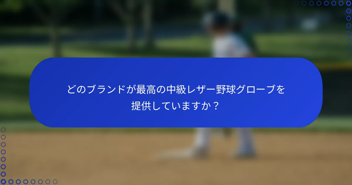 どのブランドが最高の中級レザー野球グローブを提供していますか？