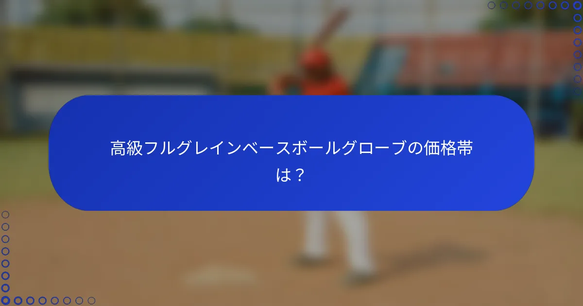 高級フルグレインベースボールグローブの価格帯は？