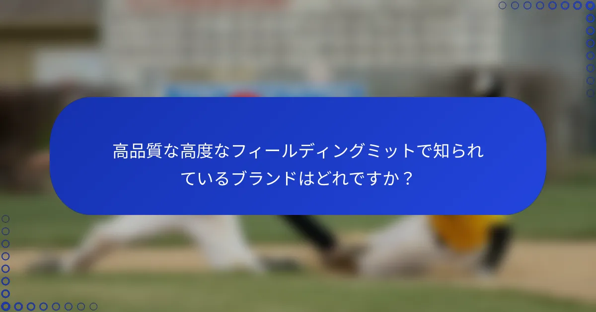高品質な高度なフィールディングミットで知られているブランドはどれですか？