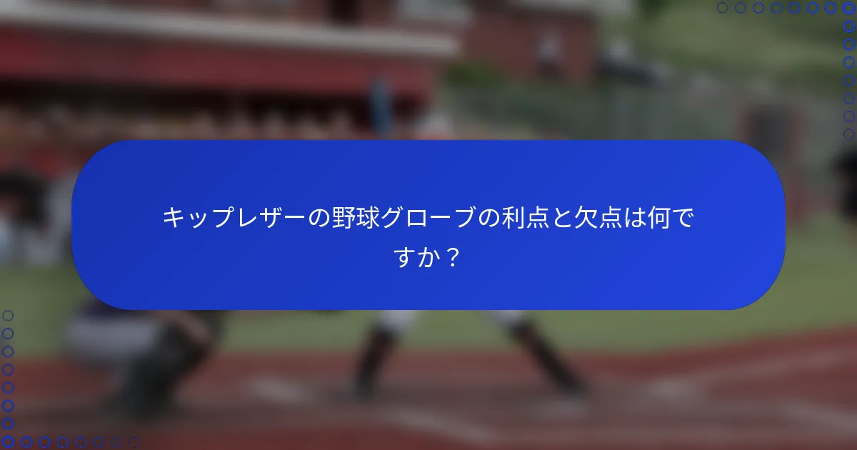 キップレザーの野球グローブの利点と欠点は何ですか？