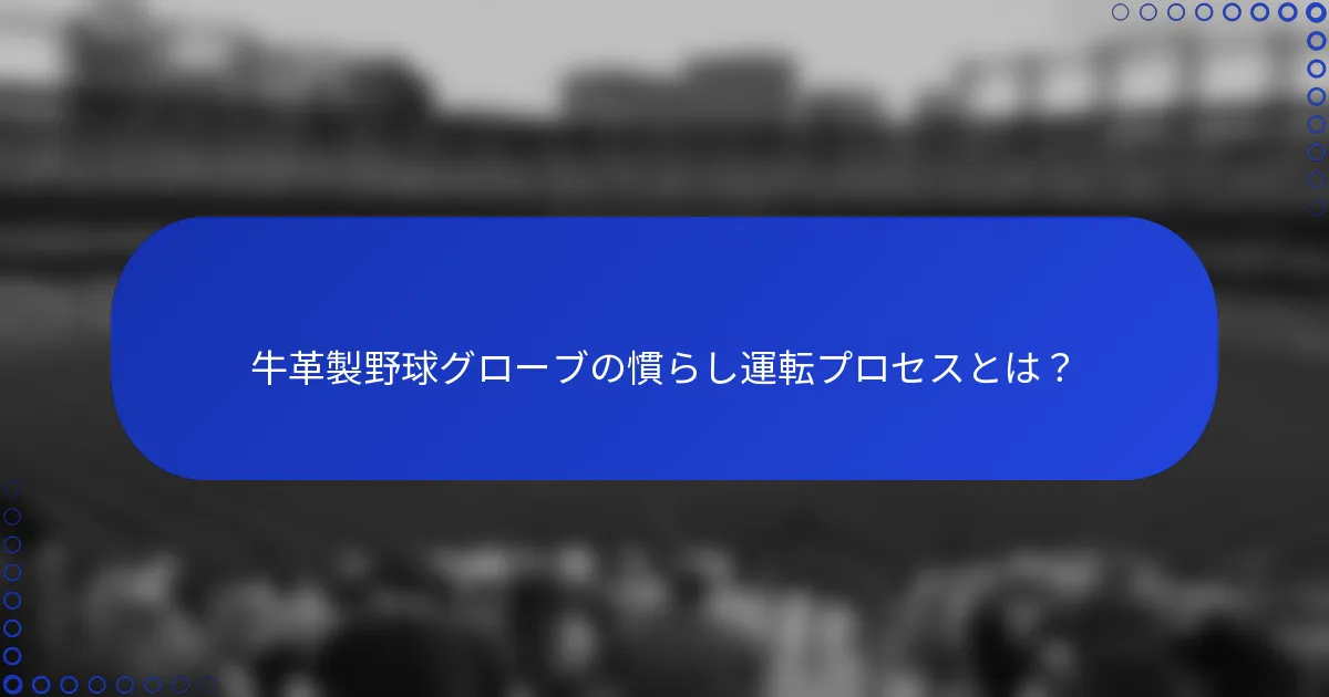 牛革製野球グローブの慣らし運転プロセスとは?