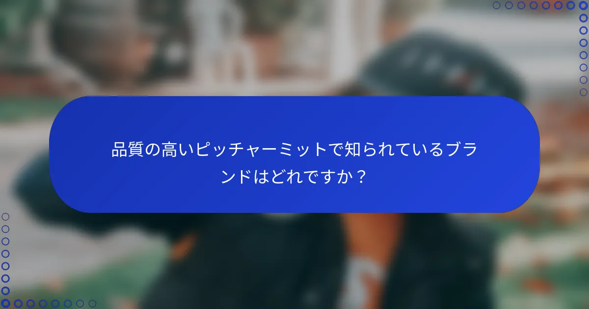 品質の高いピッチャーミットで知られているブランドはどれですか？