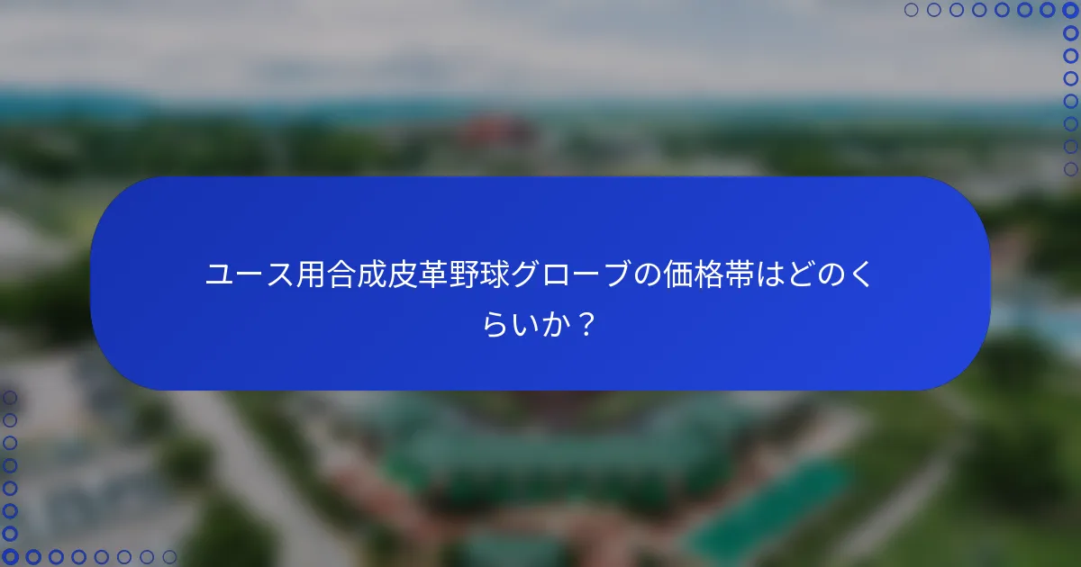 ユース用合成皮革野球グローブの価格帯はどのくらいか？